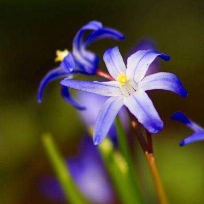 球探比分旧版大全手机app下载