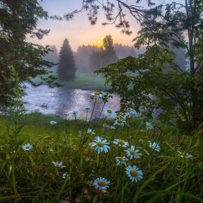 必博手机网页版下载手机版